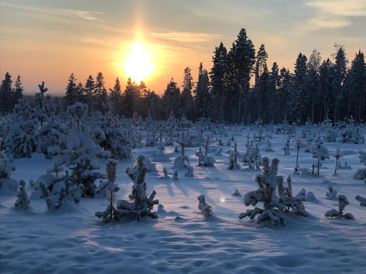 Soppela Retreat At The Arctic Circle Daire Kemijärvi Dış mekan fotoğraf